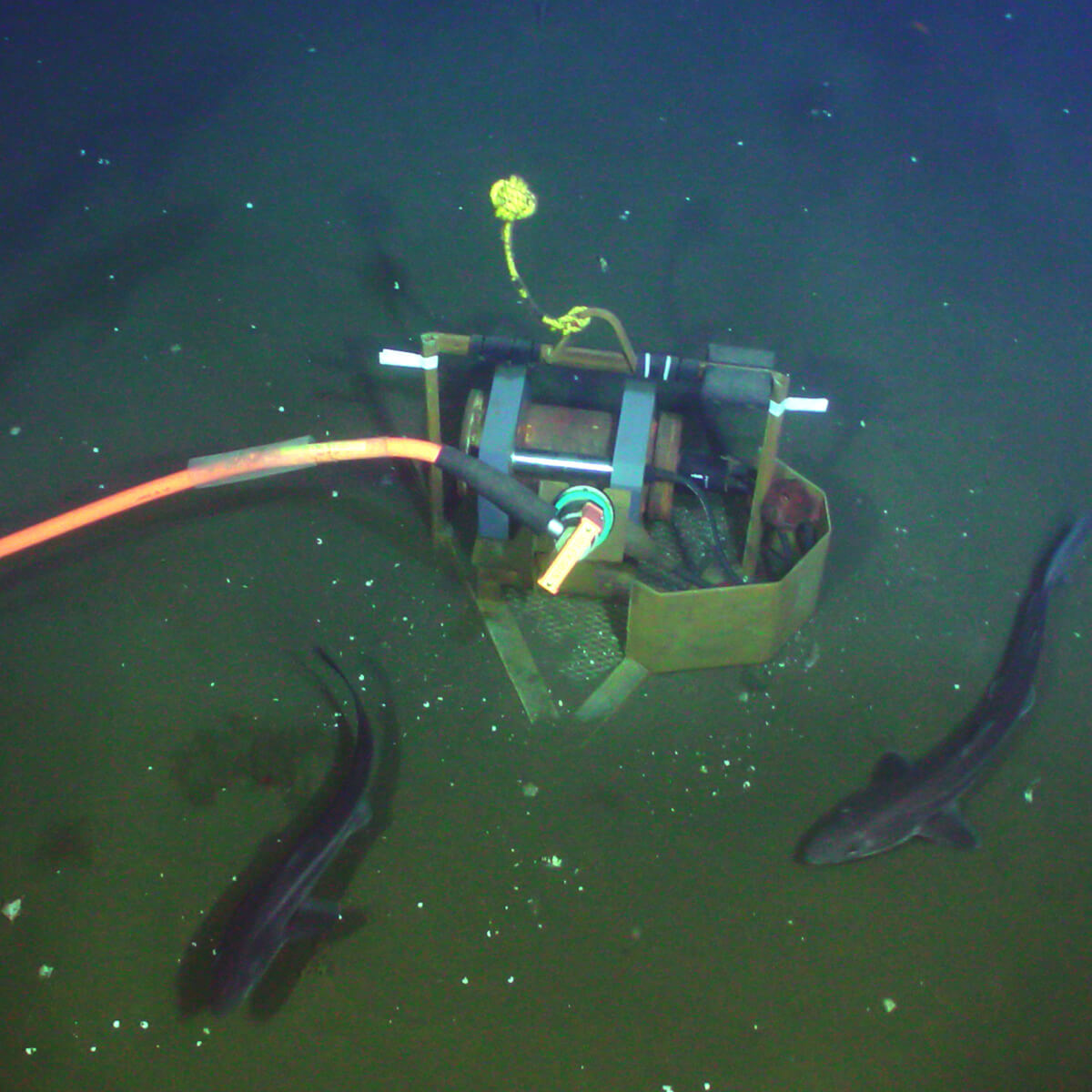 Ocean Networks sails into top 100 of $100-million competition